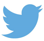 TW logo bis