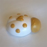 Coccinella 